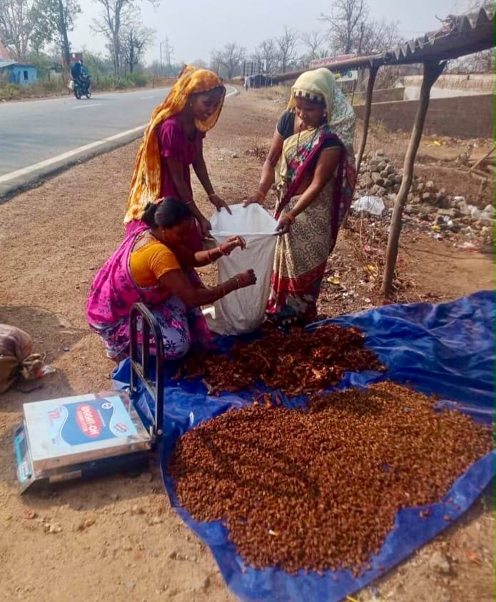 बस्तर के जैविक वनोपजों को मिलेगी वैश्विक पहचान
